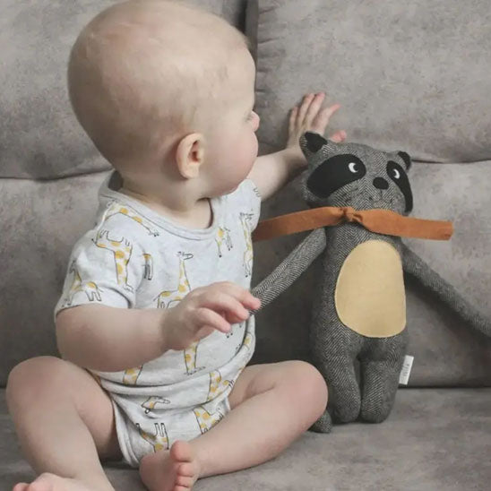 bébé et son doudou raton laveur