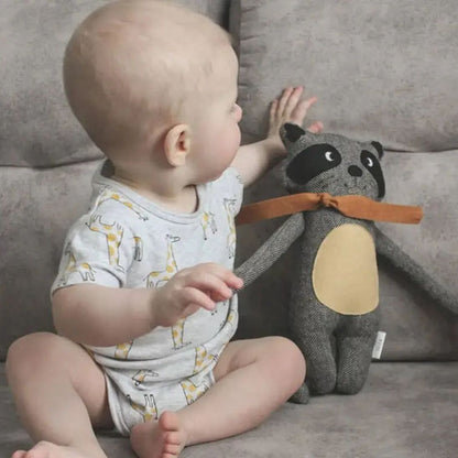 bébé et son doudou raton laveur